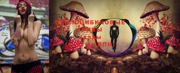 бошки Ростов