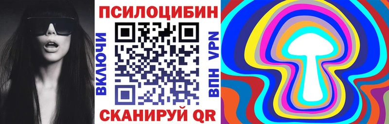 сайты даркнета официальный сайт  продажа наркотиков  Северо-Курильск  Галлюциногенные грибы Psilocybine cubensis 